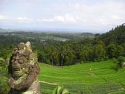 bukit jambul bali