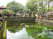 bali tirta emplul temple