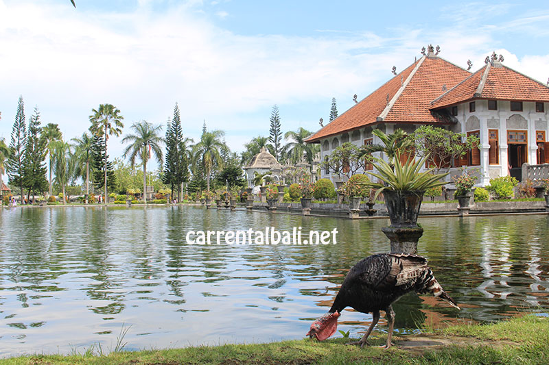 taman ujung east bali tourist destination