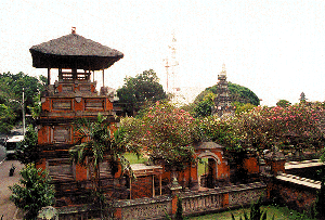 bali museum